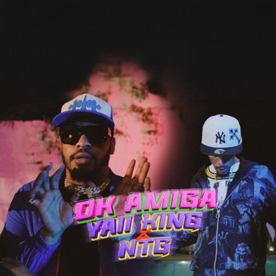 DK Amiga (feat. NTG) - Single