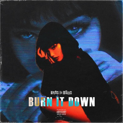 Burn It Down - Single