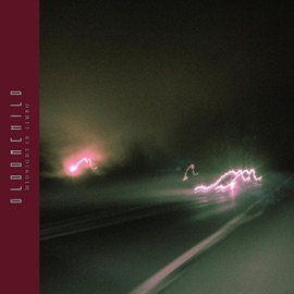 Fragmented Soul (feat. Franklyn) Gloomchild