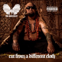 Cut from a Different Cloth - Tha Movement