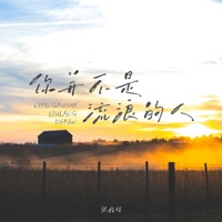 你并不是流浪的人 - Single - 张程皓