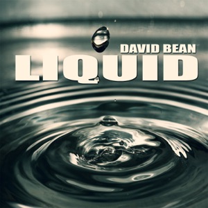 Liquid - Single