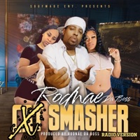 Cat Smasher (Radio Edit) - Single - Rodnae