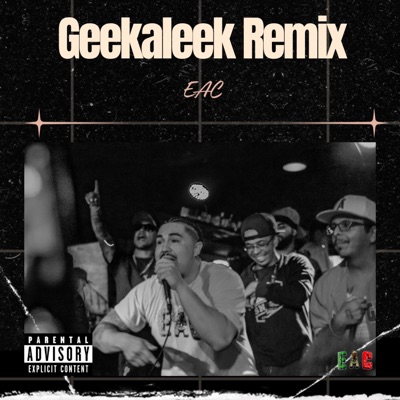 Geekaleek (Remix) - Single