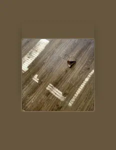 收听 Tackle the Bear、观看音乐视频、阅读小传、查看巡演日期等 ！