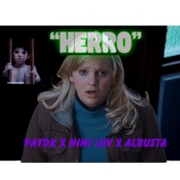 HERRO (feat. Albusta & Lani Babiii) - Single - PayDK