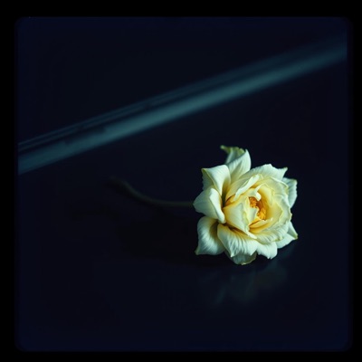 Yo Te Hice - Single