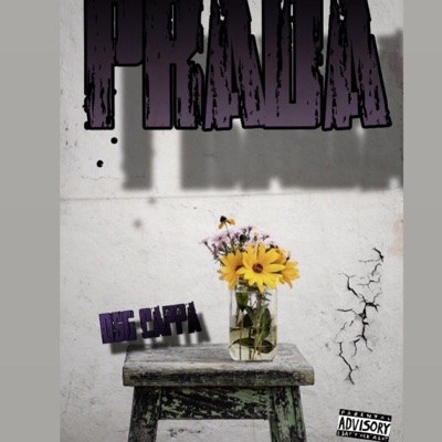 DSG Cappa - Prada - Single