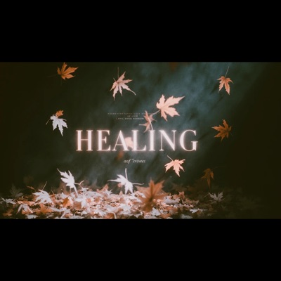Healing (feat. Vecta) - EP