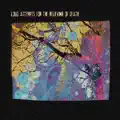 Chrysalide de l'air