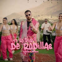 Te Lo Pido de Rodillas (Versión Cumbia) - Single - Cesar BK & Hook Music