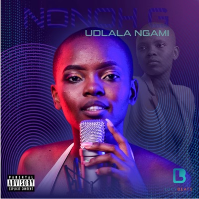 Udlala Ngami - Single
