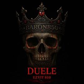 DUELE Baron850 & EZVIT 810