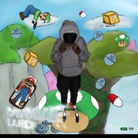 Druggie land - p3rsonnaa