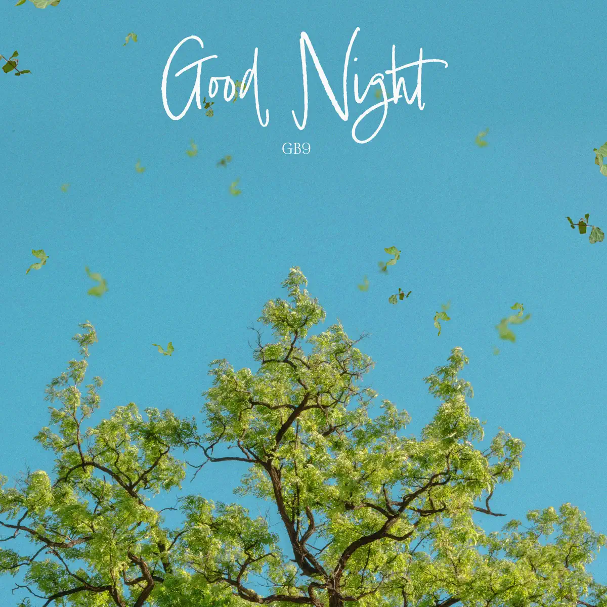 GB9 - Good Night - Single (2024) [iTunes Plus AAC M4A]-新房子