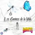 Los Caminos de la Vida