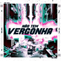 Não Tem Vergonha (feat. DJ MAGRO) - Single - MC Vinin, Mc Bobii & TRT HITS