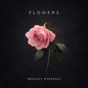 Flowers - Single