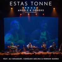 Angels and Demons (Live in Rotterdam) [feat. Ali Ghamsari, Conrado Molina & Onanya] - EP - Estás Tonné