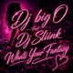 Whats Your Fantasy feat Dj Sliink Single