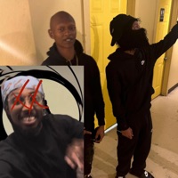 Bald Bully - Single - Relio