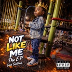 Not Like Me - EP