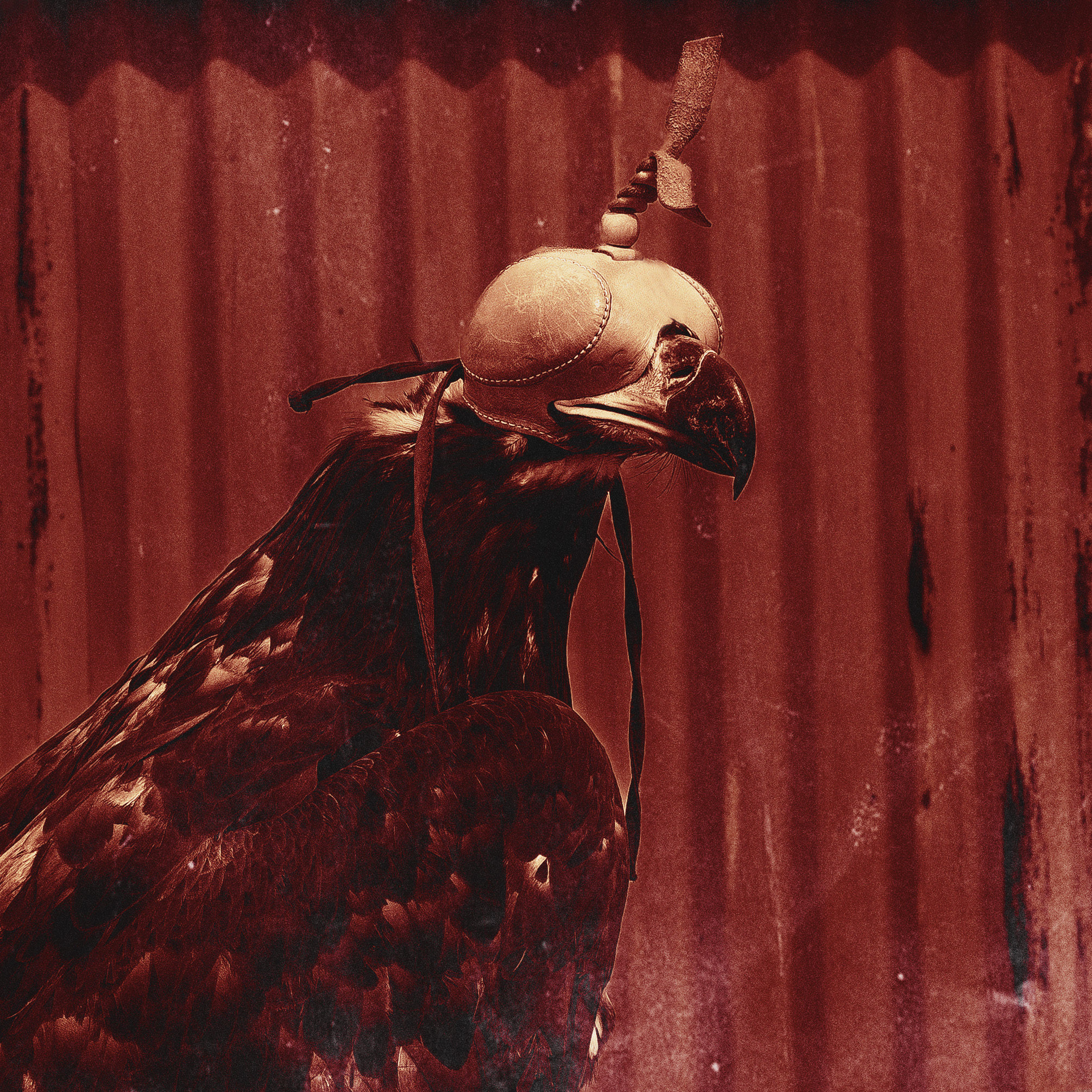 Inna Polska - Single