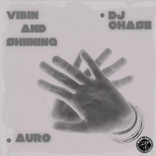 Vibin & Shining