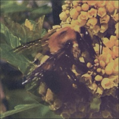Imagination - Single