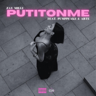 PutItOnMe (feat. Pumppfake & ARTE) - Single