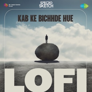 Kab Ke Bichhde Hue (Lofi)