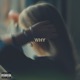 why feat Deeplane Single
