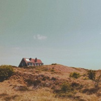 cicadas song in a sultry summer - Single - glico