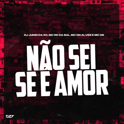 Não Sei Se É Amor - Single