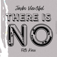There Is No (feat. Fetti Knox) - Single - Jaybo Viewtiful