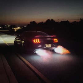 mustang OPENMIND