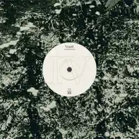 Guitar méditations — Vraell
