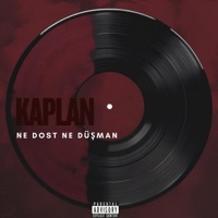 Ne Dost Ne Düşman - Single - Kaplan