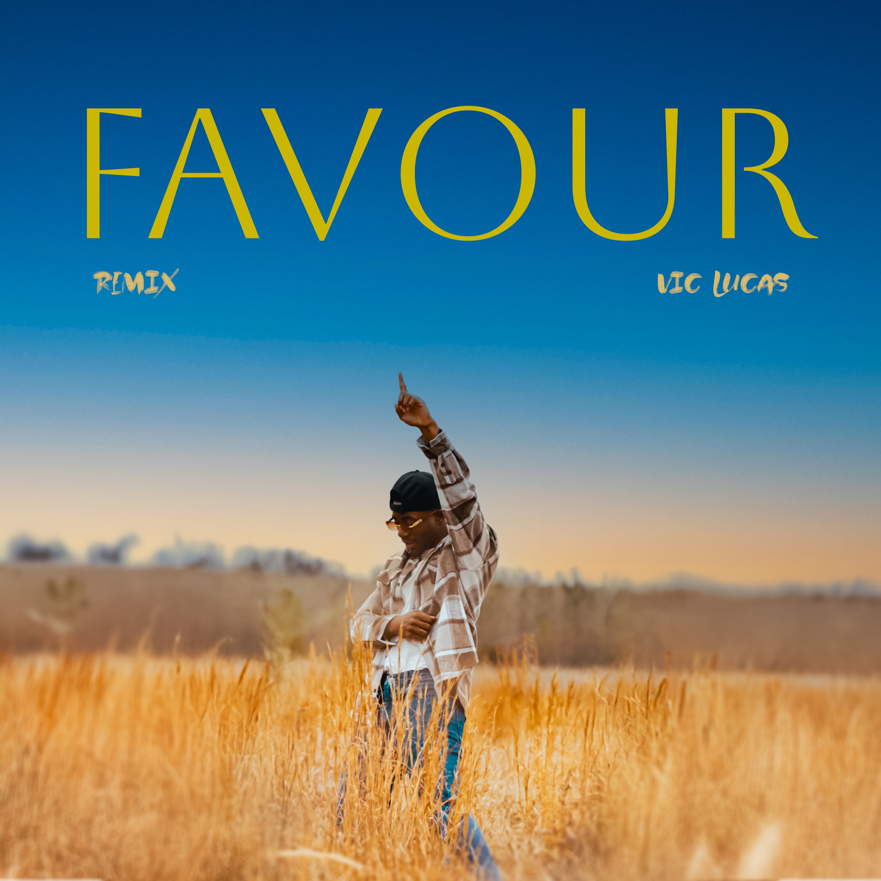 Favour (Remix) - Single