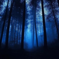 through the dark - Single - OLDFLOP & LOSTMANE