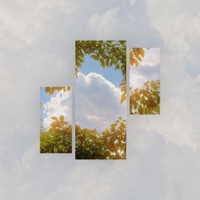 13th (Veronn Remix) - Single - Lucid Green