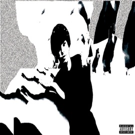 MIDDLE FINGERS UP zyf