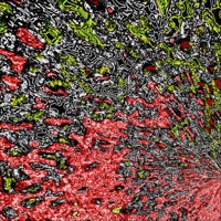 ON A ROLL - Single - KLLED