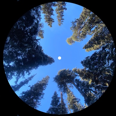 Just Hi - Single