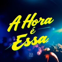 A Hora É Essa (feat. Mc Gw) - Single - DJ NARDIIN, Mc Viana Pv & DJ 2K DO TAQUARIL