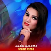 Ala Gul Dana Dana artwork