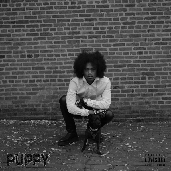PUPPY
