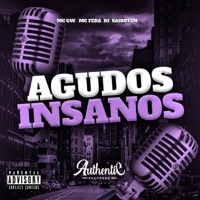 Agudos Insanos - Single - DJ SAIBOT ZN, MC GW & Mc Fera