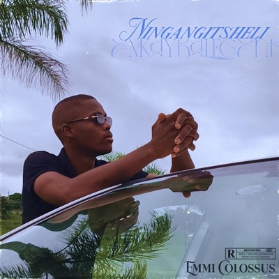 Ningangitsheli (feat. Emmi Colossus) - Single