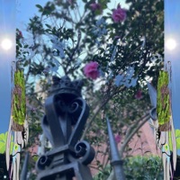 Flesh - Single - Dion